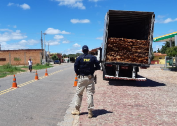 PRF apreende no Piauí carga ilegal de madeira que daria para cobrir 100 casas
